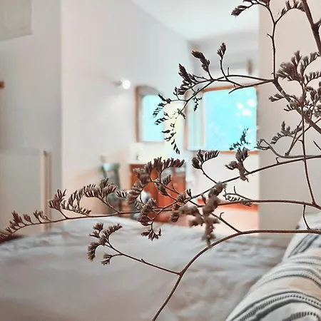 Casa vacanze Spacious House, Ideal For Families